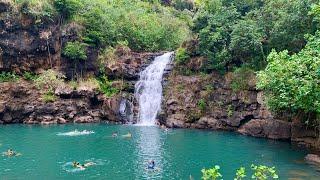 Waimea Valley Waterfall and Botanical Garden | Peacock | North Shore | Oahu | Hawaii | 04.24.2021