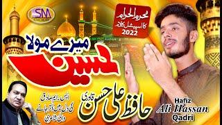 Mery Mola Hussain  | Qasida 2022 | Imam Hussain Manqabat 2022 |Hafiz Ali Hasan Qadri