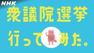 ラップでおさらいしてみYO！【そそそそれって何？！ 選挙の巻～衆院選バージョン～】| NHK