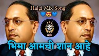 Bhima Tuch Aamchi Shaan Aahe Song | Dj Song | भिमा तुच आमची शान आह | Bhim Jayanti  | #marathidjsong