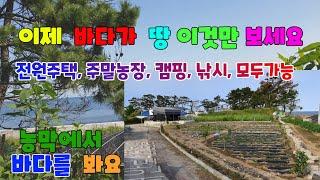 541 구평리 주말농장 매매 농막이 이쁜 구룡포주말농장매매 이제 바다가 땅 이것만 보세요 포항바다가  땅매매 바다보이는 구룡포부동산 도로에 접한포항부동산 시설이 좋은 지목동산