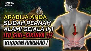 MUNGKIN ANDA PERNAH ALAMI INI , JIKA PERNAH , MAKA ITU CIRINYA  Ciri Pemilik Khodam Harimau Leluhur