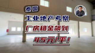 泰国工业地产考察 厂房租金飙到45元/平！供不应求！｜黎叔开房记 EP070