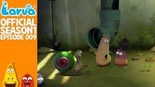 [Official] Snail - Larva Season 1 Episode 9