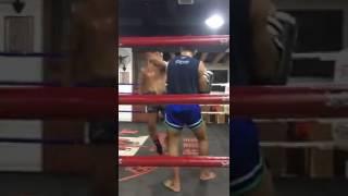 Pad work of muay thai