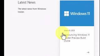 Windows 11 Insider Preview Build 25314