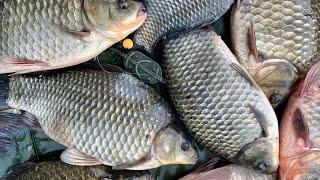 Tricks of catching carp on FLAT FEEDER. Fishing with an overnight stay in an unusual place.