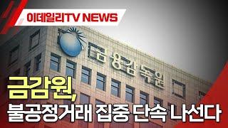 금감원, 불공정거래 집중 감시 (20250224)