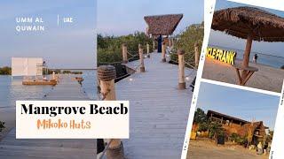 MANGROVE BEACH In Umm Al Quwain-2024 / Best Views At MIKOKO HUTS / UAE 