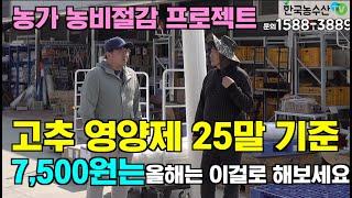 [한국농수산TV] 고추 영앙제 25말 기준 7,500원 올해는 이걸로 해보세요