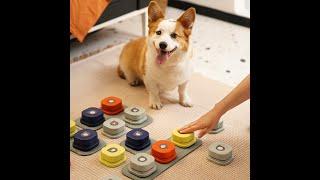 SUPERMARCAT RECORDABLE BUTTONS FOR PET TALKING TRAINING BUZZER