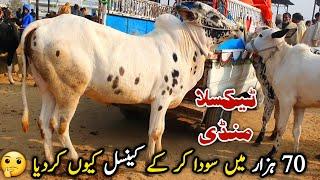 Deal Cancel Taxila Mandi Latest Update 27 December 2024