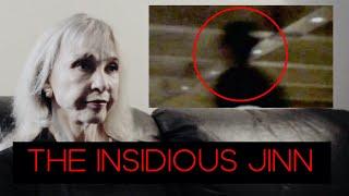 The Insidious Jinn: Who are the Shadow People? (Rare Interview w/ Rosemary Ellen Guiley)