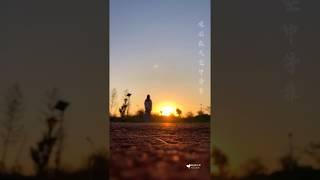  不会手机拍照的看看