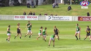 AFL Vic Men's Young Guns Highlights