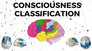 Detecting Consciousness Using Machine Learning and Brain Signals | EEG, sklearn and HPC