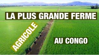 La plus grande ferme en RDC