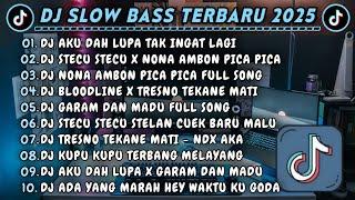 DJ SLOWBASS TERBARU 2025 || DJ AKU DAH LUPA TAK INGAT LAGI || DJ STECU STECU X NONA AMBON PICA PICA