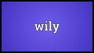 Wily Meaning