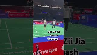 Lee ZII Jia Smash Training