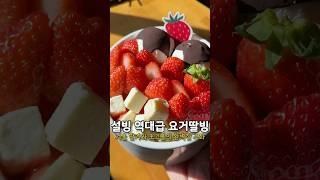 설빙 역대급 신메뉴의 등장!!