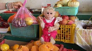 So lovely! Monkey Luk woke up dad go market to buy fruit when hungry