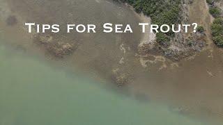 Tips for Fly Fishing for Sea Trout |