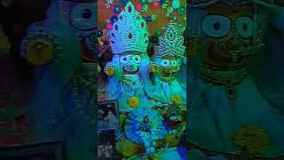 HARI BOL! DARSHAN OF GAUR NITAI JAGGANATH AND RADHA KRISHNA#like #shorts #subscribe #gaurnitai
