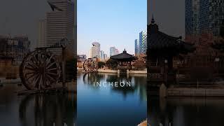 Incheon Songdo Park -5 degrees but pretty #korea #asia #travel #travelvlog