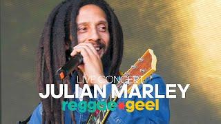 Julian Marley & The Uprising Live at Reggae Geel Festival Belgium 2024