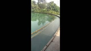 How To Water Collect In Reservoir||By NK Vlogs||#shorts#viral