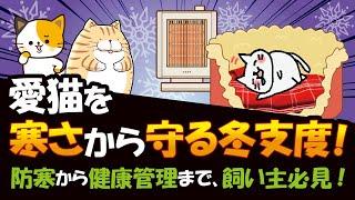 寒い冬を迎える準備！猫の冬支度で守るべき5つのポイントを徹底解説！