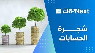 شجرة الحسابات - شرح لـ افضل برنامج حسابات للمؤسسات الكبيرة والتوسطة ERPNext