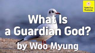 Master Woo Myung - Book - The Book of Wisdom - What Is a Guardian God?