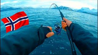 SOLLEVAMENTO PESCI! Pesca dalla BARCA nel Mar di Norvegia ai GROSSI Merluzzi nordici + NUOVA SPECIE!