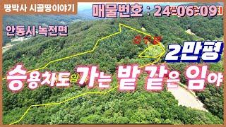 (24. 06. 09) 해발500고지에 위치한 산림경영부지.  포장도로가 잘 접해 임야상단부까지 차량진입가능. 밭으로 사용 가능한 약500평에 호두나무 식재.