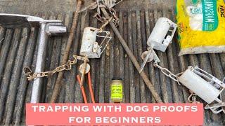 RACCOON TRAPPING WITH DOG PROOFS FOR BEGINNERS "FIND THE TRAILS"