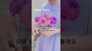 다알리아(dahlia) 꽃 오래보는 방법