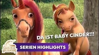 CINDERS URSPRUNGSGESCHICHTE  (ORIGINAL SHORTS!)