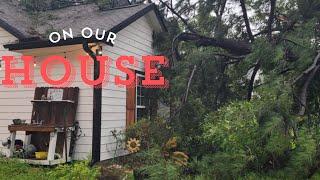 A tree fell on our house. (Hurricane Beryl)