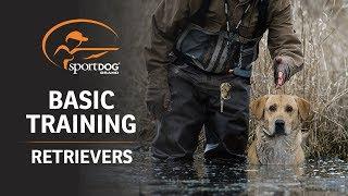 Basic Training :: Retrievers