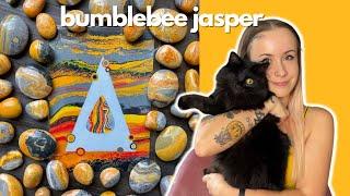 all about bumblebee jasper! is it safe??