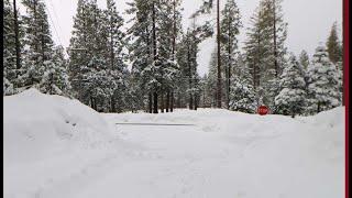 Arnold CA snow Report 3.5.2023 #shorts