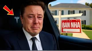 Sự Thật Sốc: Tại Sao Elon Musk Bán Hết Gia Tài và Cao Chạy Xa Bay?