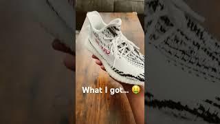 I BOUGHT $30 YEEZY 350’S ON DHGATE… #dhgate #reps #yeezy