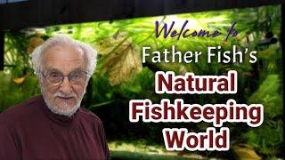 WELCOME! Join the World of Father Fish Natural Aquariums.