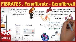 Pharmacology [CVS] 31- Antihyperlipidemic Drugs ( 3-  Fibrates [ Fenofibrate - Gemfibrozil ] )