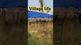 camping life #camping #music #indiacamping #shorts #vivov40series #viralshorts #instrumental