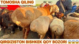 QIRGIZISTON BISHKEK QOY BOZORI ARASHAN NARXLARI BILAN TANISHING TOMOSHA