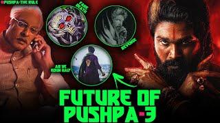 Pushpa 2 - The Rule Ending Explained | What Will Happen Next in Part-3 | Pushpa-3 the Rampage Story